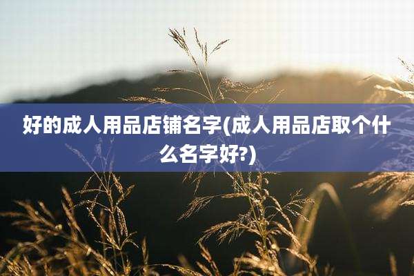 好的成人用品店铺名字(成人用品店取个什么名字好?)