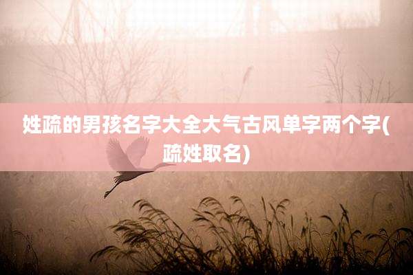 姓疏的男孩名字大全大气古风单字两个字(疏姓取名)