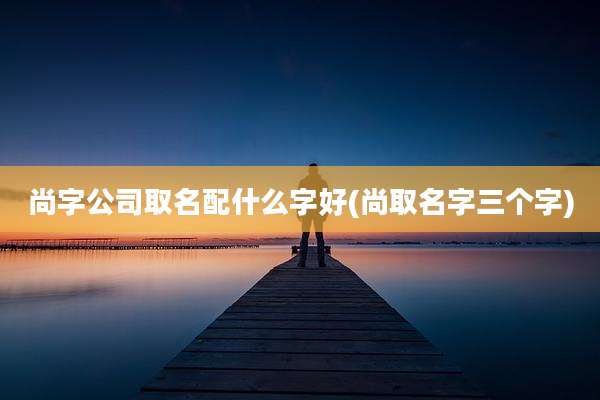 尚字公司取名配什么字好(尚取名字三个字)