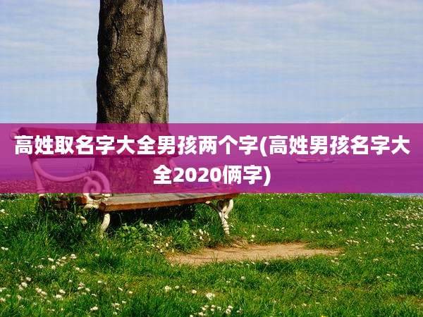 高姓取名字大全男孩两个字(高姓男孩名字大全2020俩字)