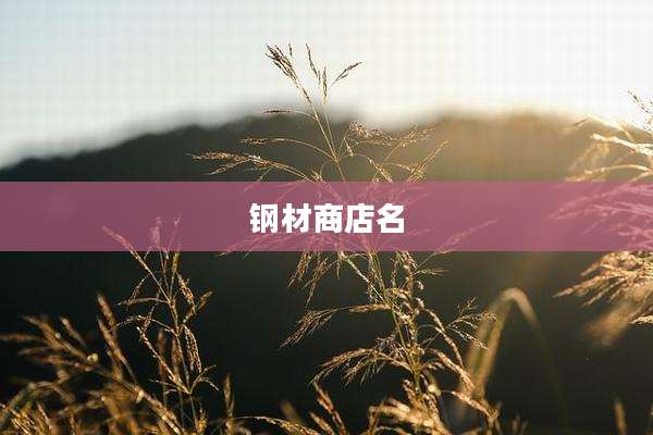 钢材商店名