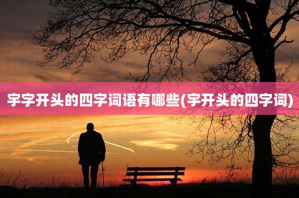 宇字开头的四字词语有哪些(宇开头的四字词)