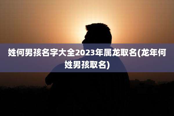 姓何男孩名字大全2023年属龙取名(龙年何姓男孩取名)