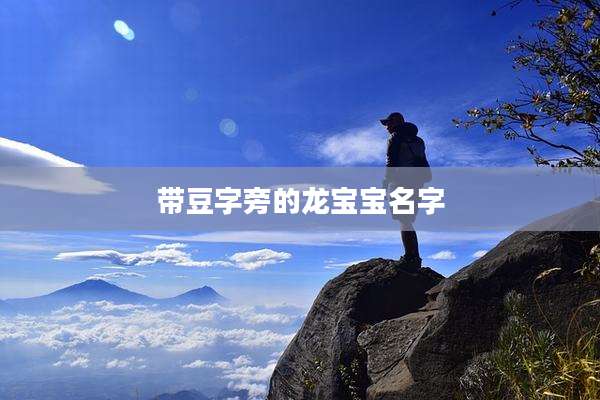 带豆字旁的龙宝宝名字
