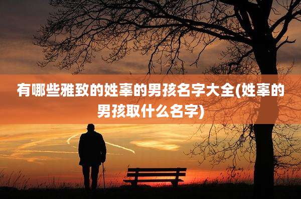 有哪些雅致的姓辜的男孩名字大全(姓辜的男孩取什么名字)
