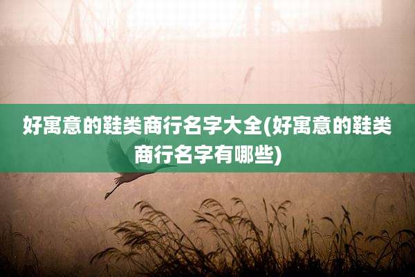 好寓意的鞋类商行名字大全(好寓意的鞋类商行名字有哪些)