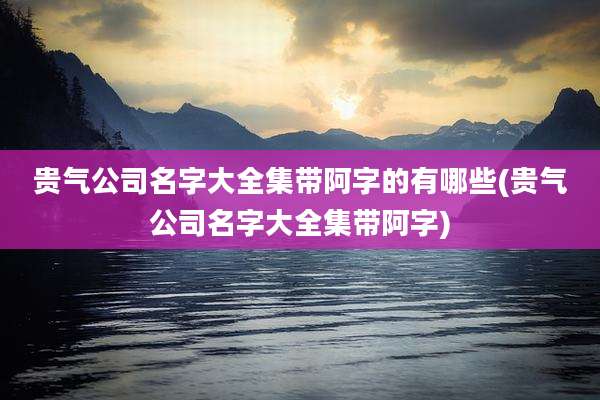 贵气公司名字大全集带阿字的有哪些(贵气公司名字大全集带阿字)