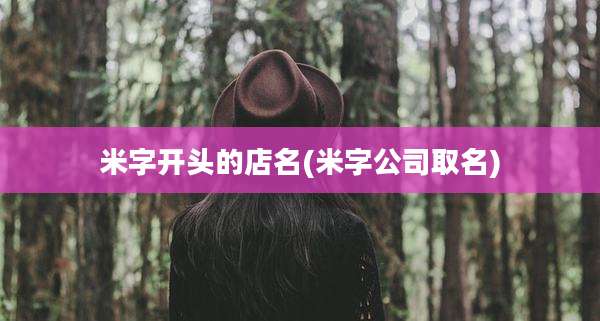 米字开头的店名(米字公司取名)