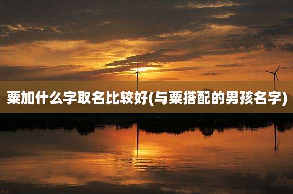 粟加什么字取名比较好(与粟搭配的男孩名字)