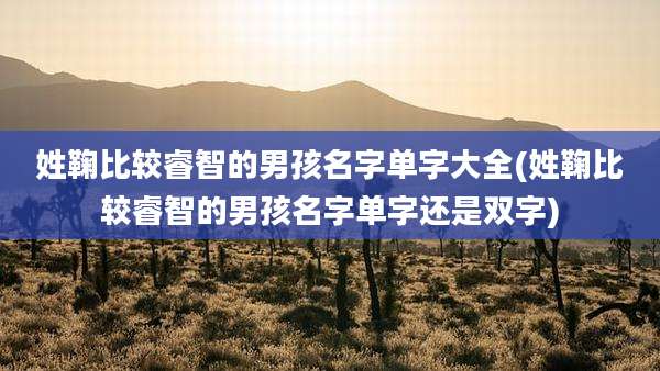 姓鞠比较睿智的男孩名字单字大全(姓鞠比较睿智的男孩名字单字还是双字)
