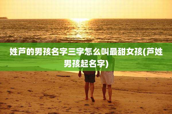 姓芦的男孩名字三字怎么叫最甜女孩(芦姓男孩起名字)