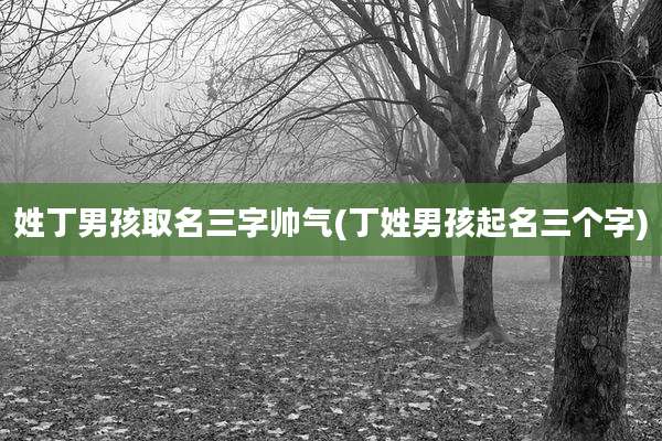 姓丁男孩取名三字帅气(丁姓男孩起名三个字)