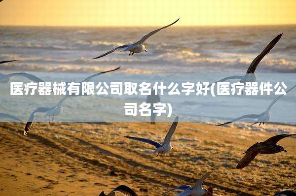 医疗器械有限公司取名什么字好(医疗器件公司名字)