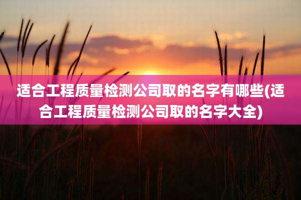 适合工程质量检测公司取的名字有哪些(适合工程质量检测公司取的名字大全)