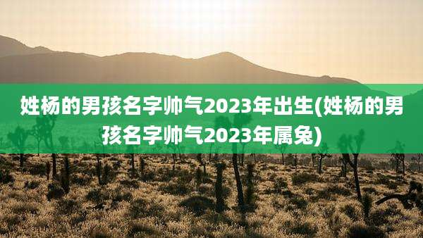 姓杨的男孩名字帅气2023年出生(姓杨的男孩名字帅气2023年属兔)