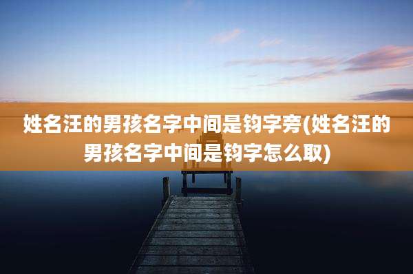 姓名汪的男孩名字中间是钧字旁(姓名汪的男孩名字中间是钧字怎么取)