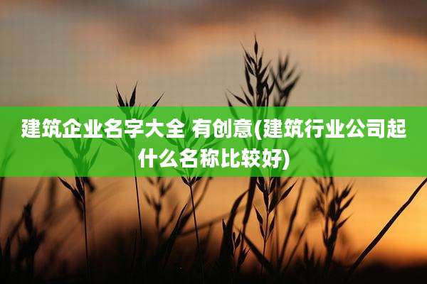 建筑企业名字大全 有创意(建筑行业公司起什么名称比较好)