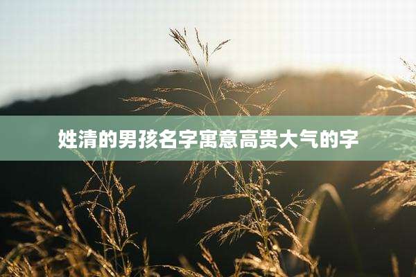 姓清的男孩名字寓意高贵大气的字