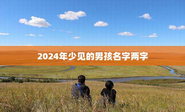 2024年少见的男孩名字两字