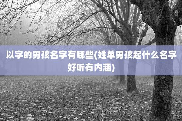 以字的男孩名字有哪些(姓单男孩起什么名字好听有内涵)