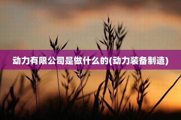 动力有限公司是做什么的(动力装备制造)