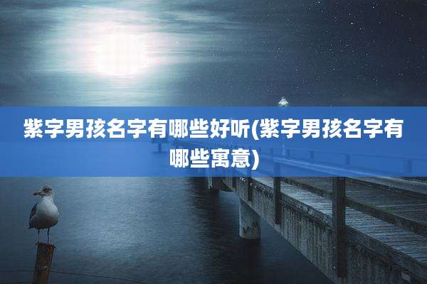 紫字男孩名字有哪些好听(紫字男孩名字有哪些寓意)