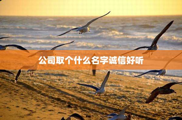 公司取个什么名字诚信好听