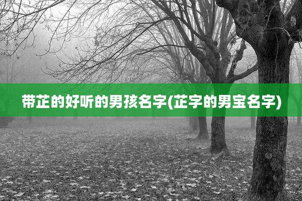 带芷的好听的男孩名字(芷字的男宝名字)
