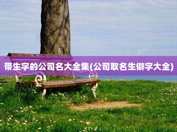 带生字的公司名大全集(公司取名生僻字大全)