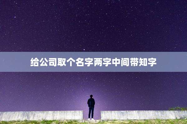 给公司取个名字两字中间带知字