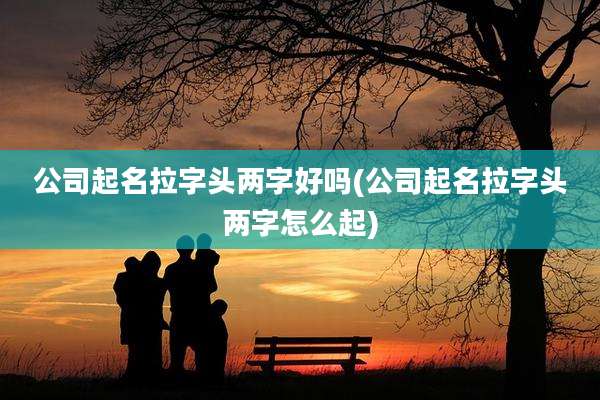 公司起名拉字头两字好吗(公司起名拉字头两字怎么起)
