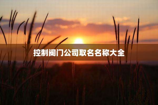 控制阀门公司取名名称大全