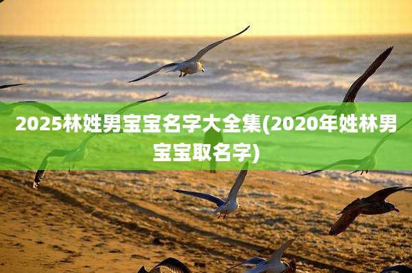 2025林姓男宝宝名字大全集(2020年姓林男宝宝取名字)