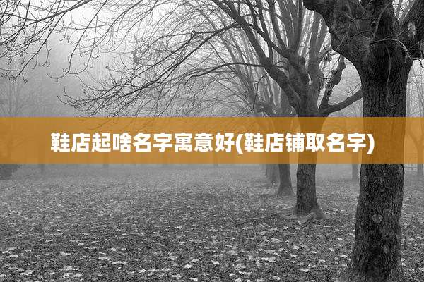 鞋店起啥名字寓意好(鞋店铺取名字)