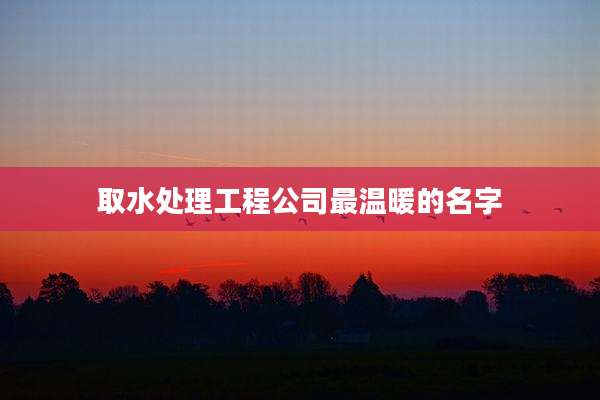取水处理工程公司最温暖的名字