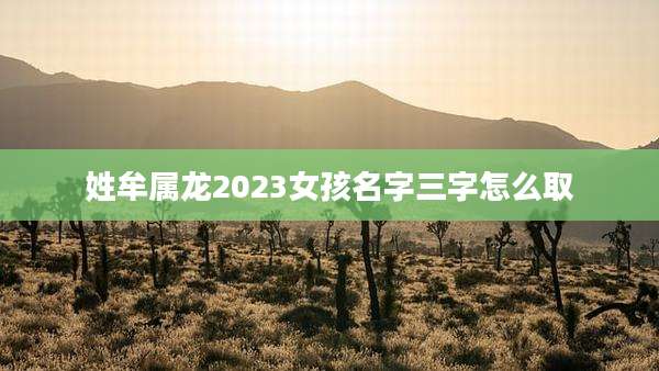 姓牟属龙2023女孩名字三字怎么取