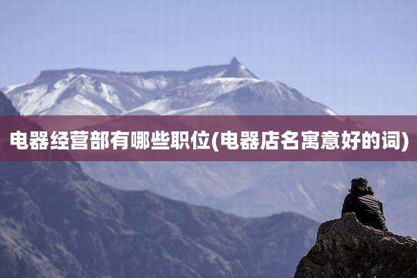 电器经营部有哪些职位(电器店名寓意好的词)