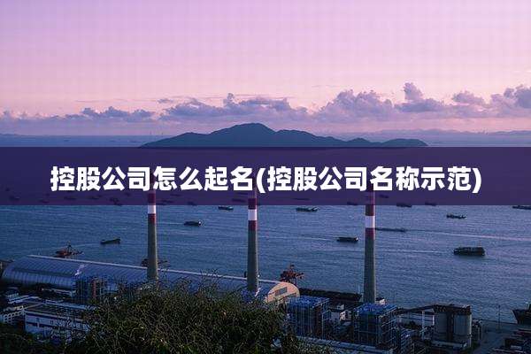控股公司怎么起名(控股公司名称示范)