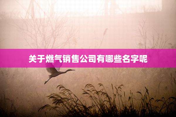 关于燃气销售公司有哪些名字呢