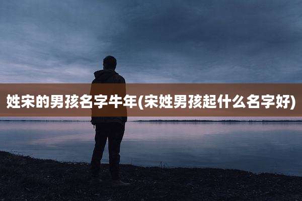 姓宋的男孩名字牛年(宋姓男孩起什么名字好)