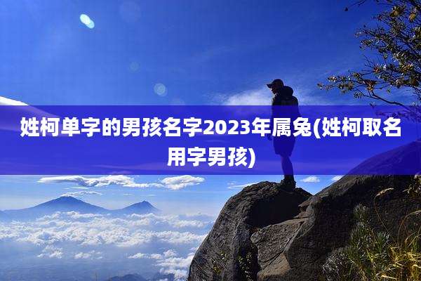 姓柯单字的男孩名字2023年属兔(姓柯取名用字男孩)