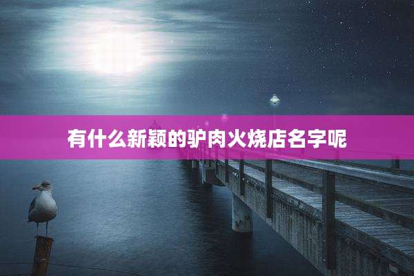 有什么新颖的驴肉火烧店名字呢