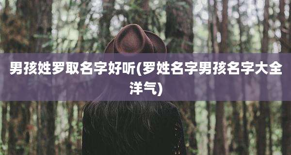 男孩姓罗取名字好听(罗姓名字男孩名字大全洋气)