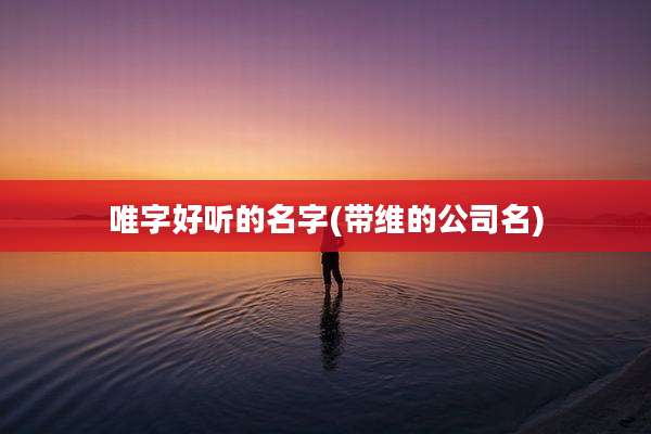 唯字好听的名字(带维的公司名)