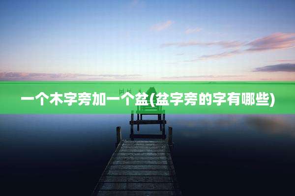 一个木字旁加一个盆(盆字旁的字有哪些)