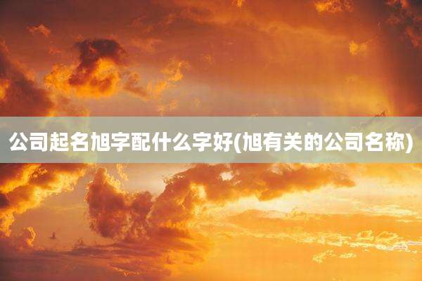 公司起名旭字配什么字好(旭有关的公司名称)