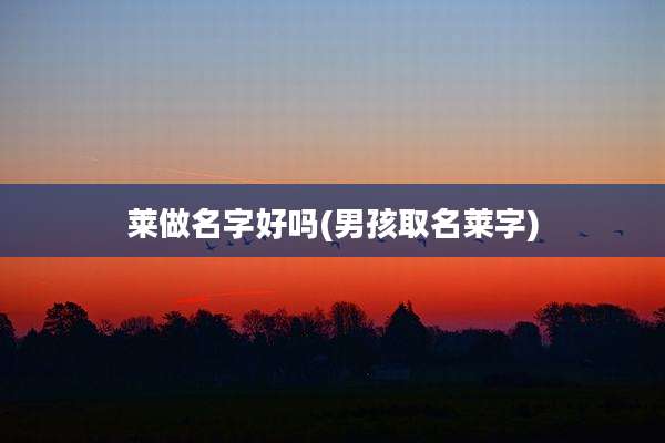 莱做名字好吗(男孩取名莱字)
