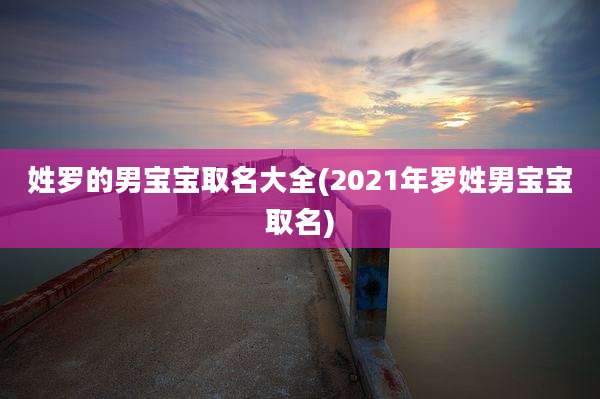 姓罗的男宝宝取名大全(2021年罗姓男宝宝取名)