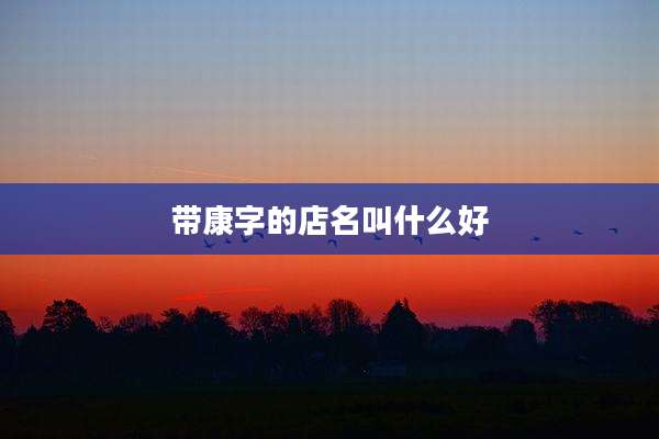 带康字的店名叫什么好