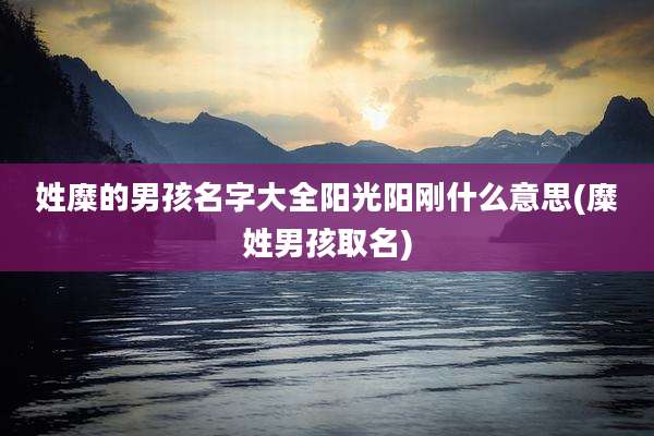 姓糜的男孩名字大全阳光阳刚什么意思(糜姓男孩取名)